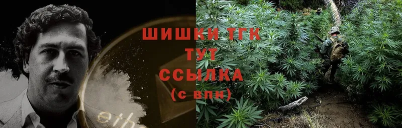 ссылка на мегу ссылка  Мытищи  мориарти официальный сайт  Бошки Шишки LSD WEED 